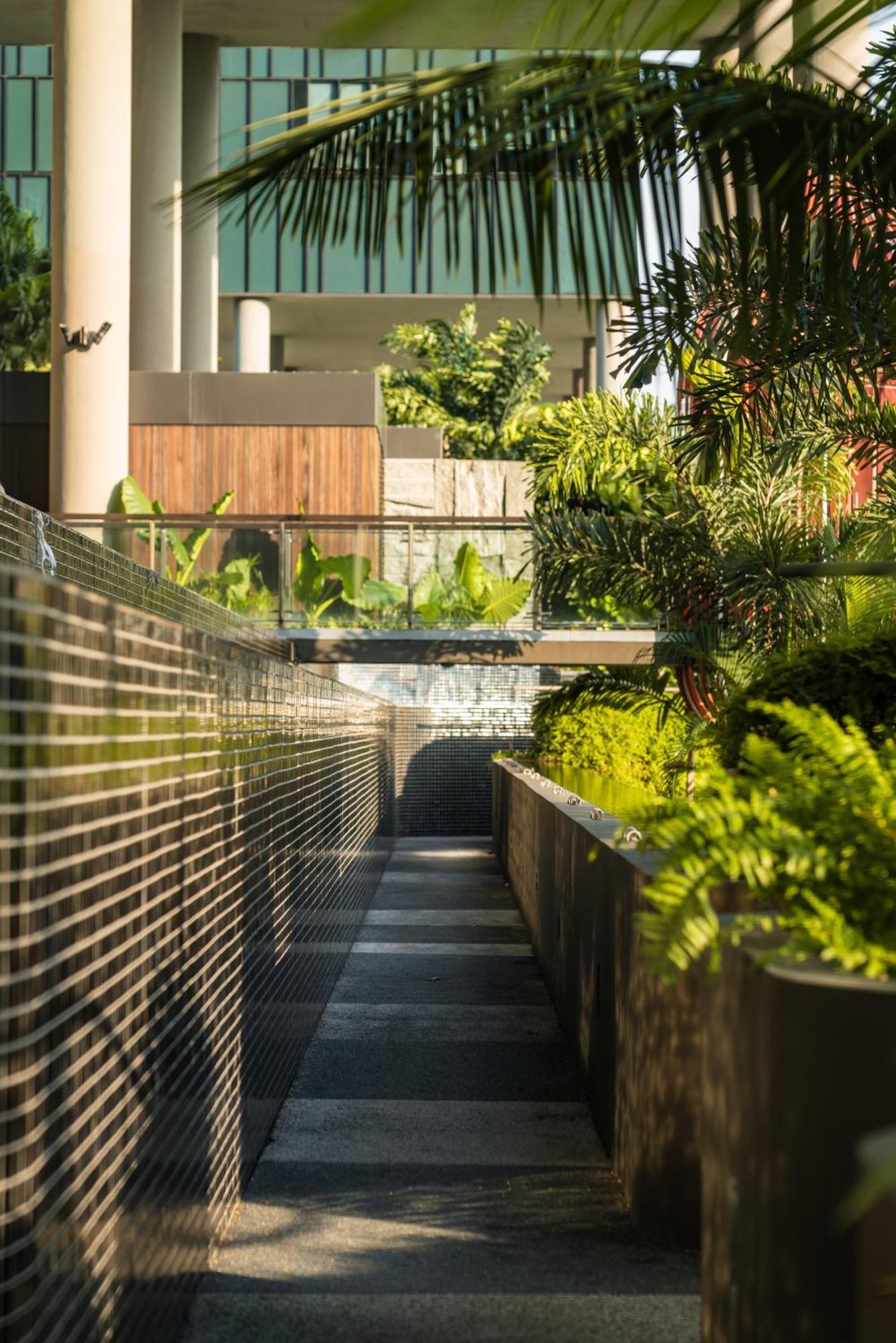 新加坡皮克林宾乐雅臻选酒店 外观 照片 The photo depicts a modern outdoor space featuring sleek design elements. In the foreground, there is a narrow walkway bordered by reflective surfaces. On one side, lush green plants and ferns are arranged in a planter, adding a natural touch to the 