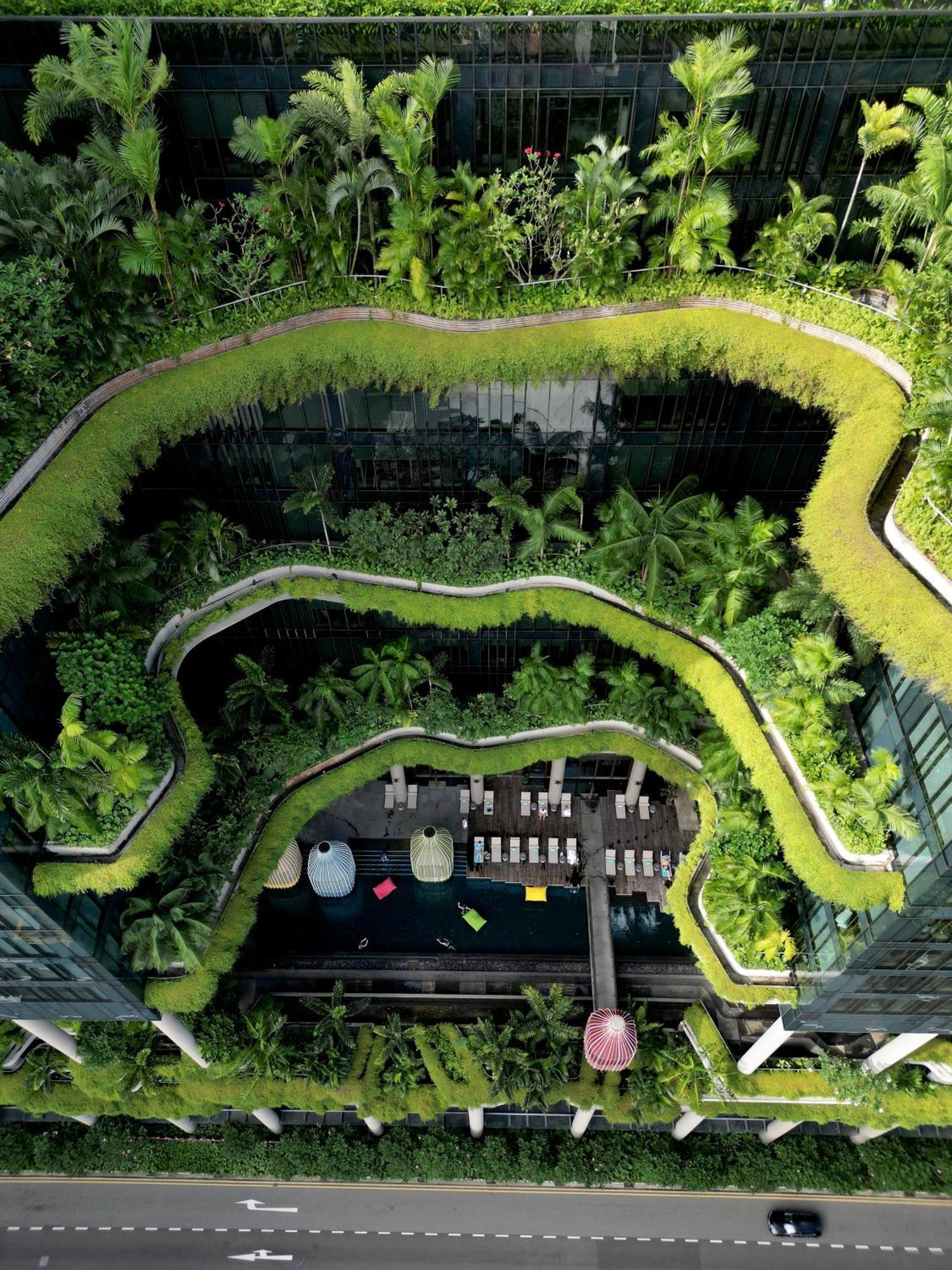 新加坡皮克林宾乐雅臻选酒店 外观 照片 The photo depicts a modern architectural space featuring a lush, green, multi-layered garden. The garden has a winding, serpentine pathway bordered by thick greenery, including various plants and trees. There are areas with vibrant grass and a relaxa